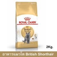 ราคา Royal Canin British Shorthair Adult [2kg] รอยัล คานิน อาหารแมวโต พันธุ์บริติช ช็อตแฮร์ (1141107259)
