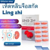 ราคา เห็ดหลินจือสกัด กิฟฟารีน Giffarine Ling zhi บำรุงร่างกาย บำรุงไต ต้านมะเร็ง สร้างระบบภูมิคุ้มกัน (25639857480)