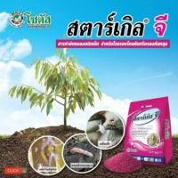 ราคา สตาร์เกิลจี กำจัดแมลงบนดิน 1กิโลกรัม (5526384327)