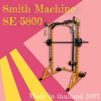 ราคา SE-5800 Cable Smith Machine (9013613287)