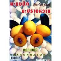 ราคา มะยงชิด Marian plum มะปรางหวาน นครนายก (28076491498)