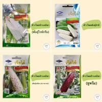 ราคา เมล็ดพันธุ์ผัก(ซอง) ข้าวโพดข้าวเหนียวไวท์กรีน พันธุ์สำลี ข้าวเหนียวม่วงหวาน ข้าวเหนียวซูพรีม ตราเครื่องบิน เจียไต๋ (7382713160)