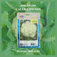 ราคา กะหล่ำดอก(CAULIFLOWER) เจียไต๋ (41557157383)