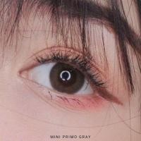 ราคา Mini primo gray kitty kawaii (3169731367)