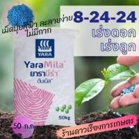 ราคา ปุ๋ย สูตร 8-24-24 ยารามีร่า ดับเบิล ยกกระสอบ 50 ก.ก. เป็นปุ๋ยเม็ดสีฟ้า ละลายง่าย ไม่มีกาก สูตรเรียกดอก ขยายผล ไม้ผล (22465591843)