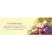 ราคา CRABTREE & EVELYN กลิ่น SUMMER HILL HAND THERAPY (3416782936)