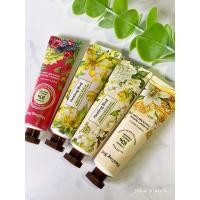ราคา HAND CREAM HEALING BIRD ครีมบำรุงมือกลิ่นหอมจากเกาหลี (5046423520)