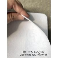 ราคา ECOOCE แผ่น Geotextile สีขาว ชนิด Non-woven รุ่น PRO ECO120 ขนาด 120 กรัม/ตร.ม. (ตัดแบ่งขาย ขนาด A2,A1,A0) แผ่นรองปลูก (9252893384)
