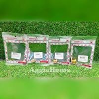 ราคา RED HAND ปลั๊กอุดทองเหลือง (ตัวเลือก 1/8" /1/4" /3/8" /1/2") ปลั๊กอุด ทองเหลือง อุด ท่อ ประปา เกษตร อุปกรณ์เสริม (28122857089)