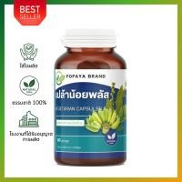 ราคา เปล้าท่าโพพลัส กล้วย ใบฝรั่ง เปล้า (ตะวันออกเฉียงเหนือ) Croton fluviatilis Esser (44303220309)