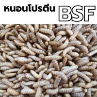 ราคา หนอนโปรตีน BSF (Black Soldier Fly) ไม่อบ ไม่ต้ม❤️ (42557813467)