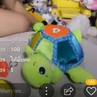 ราคา เต่า มีเสียง ดนตรี เพลง Lamaze และ ต้นไม้ มือสอง (4520423171)