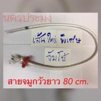 ราคา สายจมูกวัว เส้นใหญ่พิเศษ No.จัมโบ้ ยาว 80 ซม. (แพ็ค 5 เส้น) (1163848985)