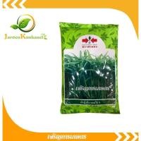 ราคา เมล็ดพันธุ์ ผักบุ้งจีนยอดไผ่9 (2732773113)