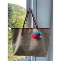 ราคา COACH Tote Limited Edition เลขขึ้นตรง (29551780744)
