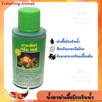 ราคา น้ำยาฆ่าเชื้อโรคในน้ำ ป้องกันการเกิดโรค รักษาอาการป่วย RQ มาลาไคท์ กรีน เอฟ 30 มล. MALACHITE GREEN F (8208370784)