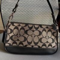 ราคา กระเป๋า coach ทรงพอช (4034662558)