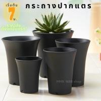 ราคา กระถางปากแตร ขนาด 3 นิ้ว/ 3.5 นิ้ว/ 4 นิ้ว สีดำ เนื้อหนาแข็งแรง ทรงสูง กระถางแคคตัส กระถางกระบองเพชร กระถางพลาสติก (9060626227)
