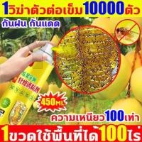 ราคา สเปรย์กาวกำจัดแมลงวันทอง สารล่อแมลงวันทอง เมทิลยูจินอล สเปรย์กาว กับดักแมลงวันทอง ดักจับแมลงวันทอง (42958531378)