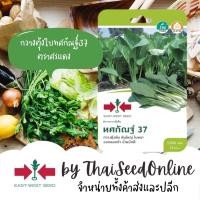 ราคา GGEW เมล็ดพันธุ์ซฟ กวางตุ้งต้นทศกัณฑ์37 ตราศรแดง เขียวกวางตุ้ง กวางตุ้งใบ กวางตุ้งต้น (5729772438)