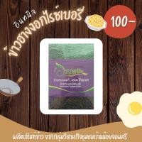 ราคา ข้าวฮางงอกไรซ์เบอรี่ (27106689282)