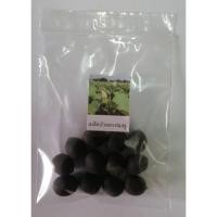 ราคา เมล็ดพันธุ์บัวหลวง เมล็ดบัวหลวงสีชมพู เม็ดบัว ดอกไม้ พรรณไม้ 10 เมล็ด (Lotus Flower Seeds 10 seed) (7435945807)