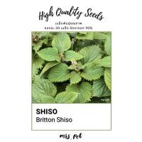 ราคา เมล็ดใบงาโอบะ Britton Shiso (21531554286)