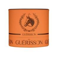 ราคา ครีมน้ำมันม้า Guerisson 9 Complex Guerisson Horse Oil Cream 70 g (19156082285)