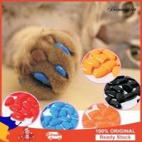 ราคา 20Pcs แมวสุนัขสัตว์เลี้ยงที่อ่อนนุ่มแมว Paw Paw Claws ควบคุมหมวกเล็บครอบคลุมอุปกรณ์สัตว์เลี้ยง (1055909332)