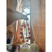 ราคา 定制 สําหรับ วิเวียน เท่านั้น (28106892222)