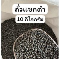 ราคา ถั่วแขกดำ ถั่วแขกดำเพาะงอก (10 กิโลกรัม) ถั่วดำ ถั่วเพาะงอก (40708611941)