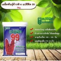 ราคา เมล็ดพันธุ์ข้าวฟ่าง แปซิฟิค 99 5kg. เมล็ดพันธุ์ข้าวฟ่างลูกผสมสีแดง ข้าวฟ่าง เมล็ดพันธุ์แปซิฟิค (9794217036)