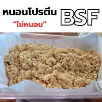ราคา ไข่หนอนโปรตีน BSF (Black Soldier Fly) (43657669431)