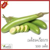 ราคา 200 เมล็ด มะเขือยาว เมล็ดมะเขือยาว เมล็ดมะเขือยาวเขียว มะเขือยาว (40208162471)