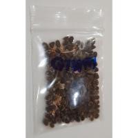 ราคา ขายถูก 100 เมล็ด เมล็ดพันธุ์ดาหลา Torch ginger เวชสำอาง น้ำดอกดาหลา น้ำมันดาหลา สบู่ดอกดาหลา ชาดอกดาหลา ไวน์ดอกดาหลา เส้ (3831409021)