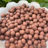 ราคา เม็ดดินเผาเบา Popper size L ขนาด 6-8 m เม็ดดินเผามวลเบา ขนาด 50กรัม (28013365545)