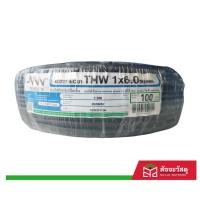 ราคา สายไฟ THW IEC01 1x6 SQ.MM. BLACK (Triple N) (21008892443)