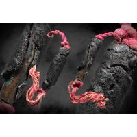 ราคา ตะกรุดก๋าสะท้อนครูบาชุ่ม วัดวังมุย (ยุคต้น) (44203638916)