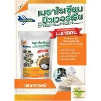 ราคา เมธาไรเซียมผสมบิวเวอร์เรีย 500g เชื้อราป้องกันและกำจัดหนอนและแมลง ชนิดผงพร้อมใช้งาน เพาะเชื้อจากห้อง LAB ปลอดภัย 100 % (5895562747)