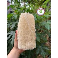 ราคา ใยบวบร้อยเชือก 15-20 เซนติเมตร พร้อมใช้งานได้เลย ใยบวบขัดผิว ถูตัว (41154418052)