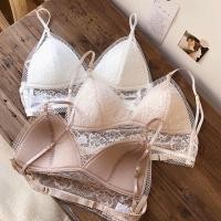 ราคา บราลูกไม้ไร้โครง แบบสวม รุ่น Soft Bra มี 5 สี พร้อมส่ง (20633319837)