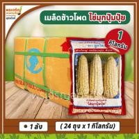 ราคา เมล็ดพันธุ์ ข้าวโพดข้าวเหนียวขาว ไข่มุกปุ้มปุ้ย (ยกลัง 24 ถุง) เมล็ดข้าวโพดข้าวเหนียวสำลี เมล็ดพันธุ์คุณภาพ ตราลูกโลก (17845616183)