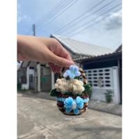 ราคา กระเช้าดอกไม้ ดอกมะลิจิ๋ว (40006960083)