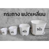 ราคา กระถางแปดเหลี่ยมสีขาว กระถางแคนตัส (19219758783)