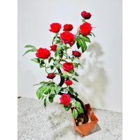 ราคา ต้นกุหลาบ ต้นไม้ ต้นกุหลาบ ขนาด 150 cm ดอกไม้ปลอม ของตกแต่งบ้าน ต้นไม่ปลอม กุหลาบปลอม ดอกไม้ปลอม ต้นไม้ปลอม ต้นไม้ตกแต่ง (23628573467)