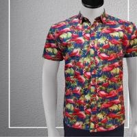 ราคา เสื้อเชิ้ต เสื้อฮาวาย ลายฟามิงโก้ (5131971737)