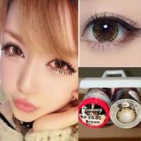 ราคา คอนแทคเลนส์ เกล็ดหิมะ รุ่น Tommy brown/gray/black มีค่าสายตา (0.00)-(-10.00) (28955840222)