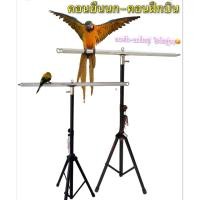 ราคา พร้อมส่ง คอนนก คอนยืนนก มาร์คอร์ กระตั้ว อิเล็คตัส เกย์ คอนฝึกบิน ไฮโซสุดๆ (7971107519)