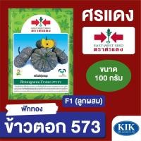 ราคา เมล็ดพันธุ์ ศรแดง BIG ฟักทอง ลายข้าวตอก573 BIG ขนาด100 กรัม (ซองใหญ่) (22946632942)