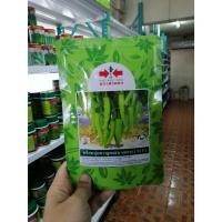 ราคา เมล็ดพันธุ์ พริกหนุ่มขาวหยกขาว31 50g (5489574157)